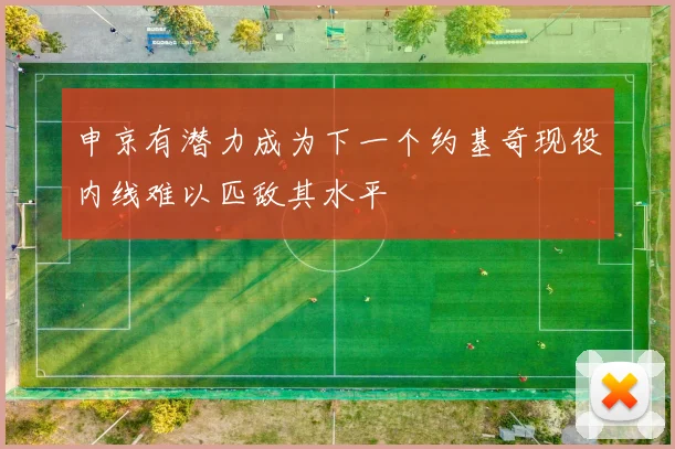 申京有潜力成为下一个约基奇现役内线难以匹敌其水平