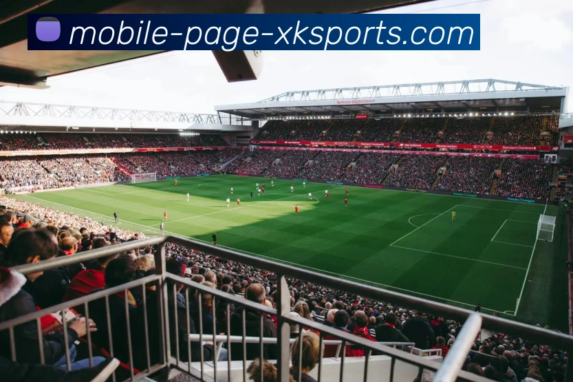 多媒体互动体验